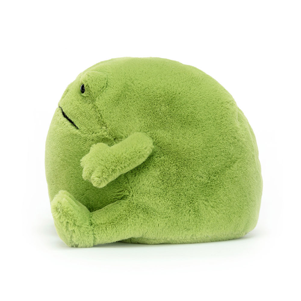 Ricky Rain Frog - Image 2